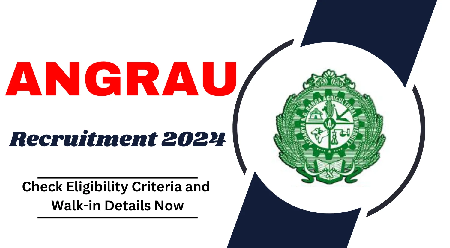 ANGRAU Teaching Associate Recruitment 2024