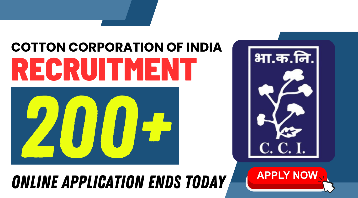 CCI-Vacancy-2024-Online-Application