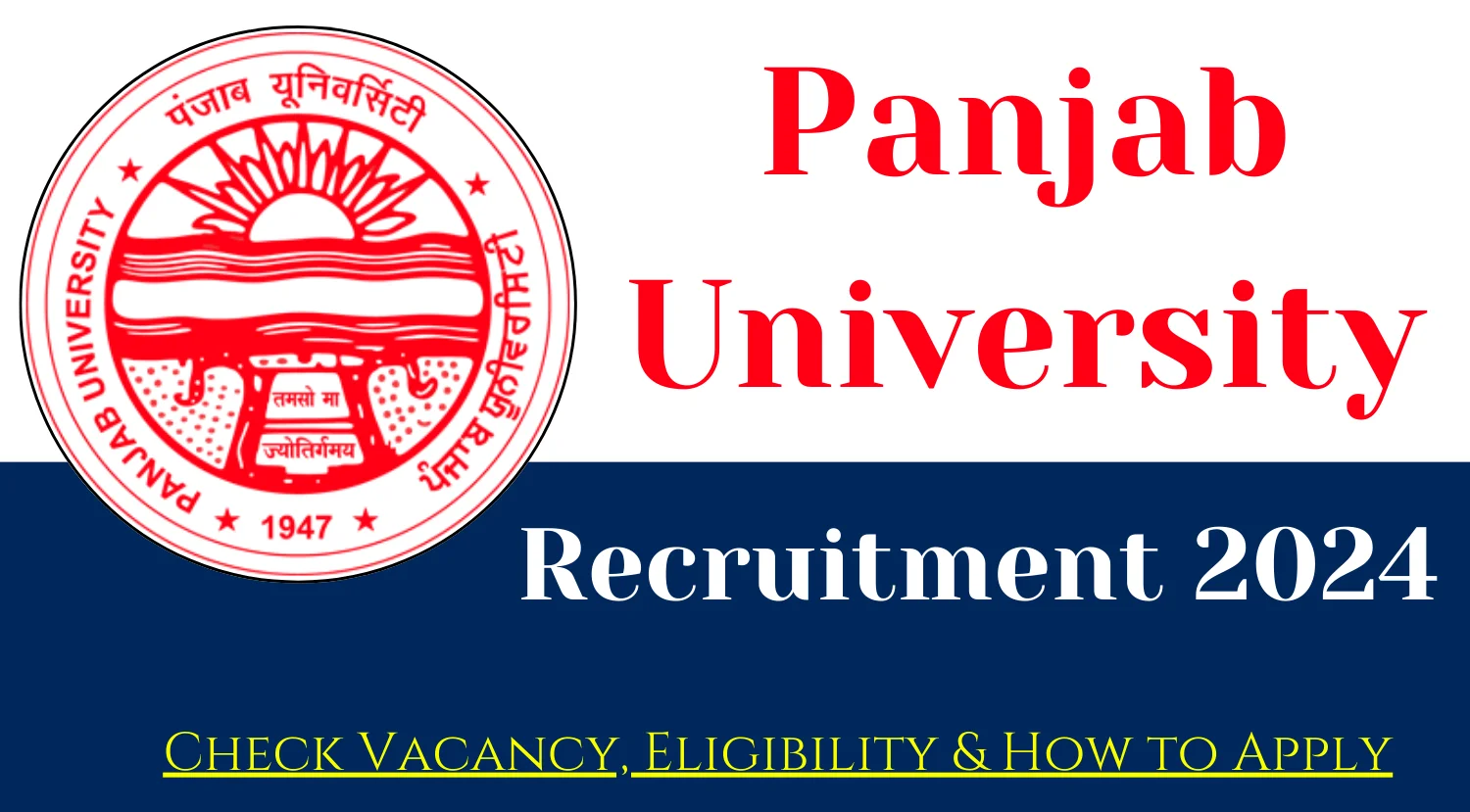 Panjab University Faculty Recruitment 2024