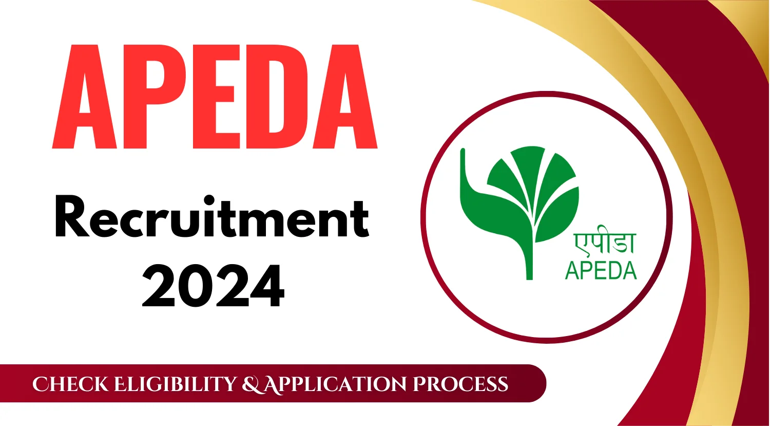 APEDA Associate Recruitment 2024