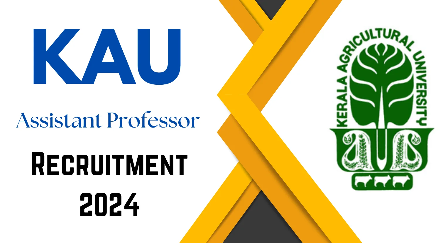 KAU Assistant Professor Recruitment 2024